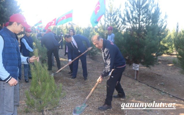Zəfər Günü ilə əlaqədar Samuxda ağacəkmə aksiyası keçirilib - Fotolar