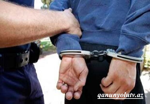 Qusarda ağacların kəsilməsinə görə bələdiyyə sədri həbs edildi