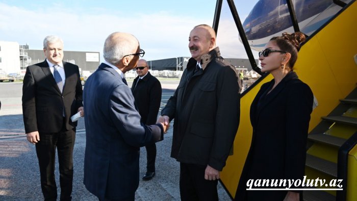 Prezident Danimarkaya səfəri ilə bağlı paylaşım etdi - Video