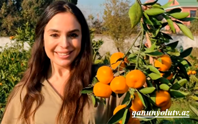 Leyla Əliyeva Lənkərandan paylaşım etdi